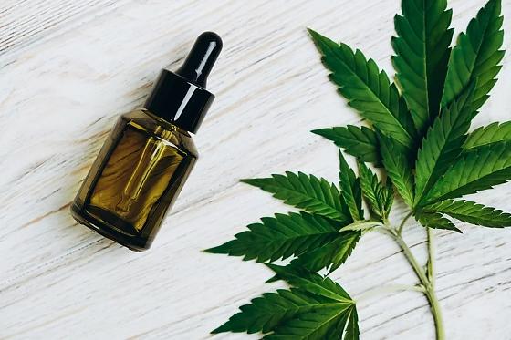 Estudo mostra eficácia da cannabis no tratamento do Alzheimer