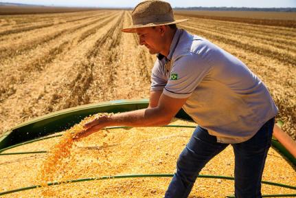 MT lidera produção agropecuária brasileira por 4 anos consecutivos