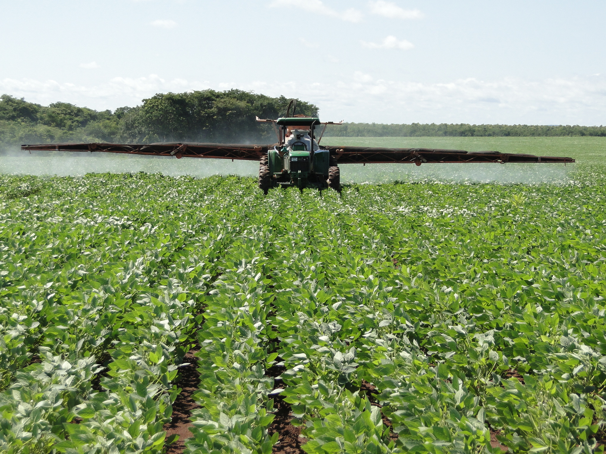 Levantamento feito pelo Imea aponta 586 mil hectares com alguma aptidão para o cultivo da soja na Baixada